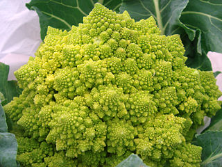 Romanesco-kål